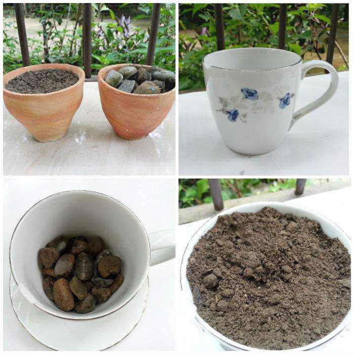 Préparer la tasse pour le mini-jardin