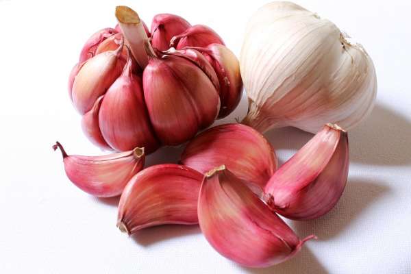 L'ail aide à éloigner les nuisibles de votre jardin