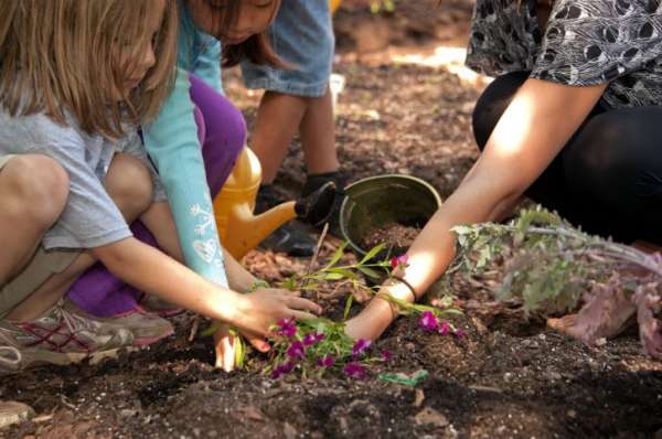 Initier son enfant au jardinage