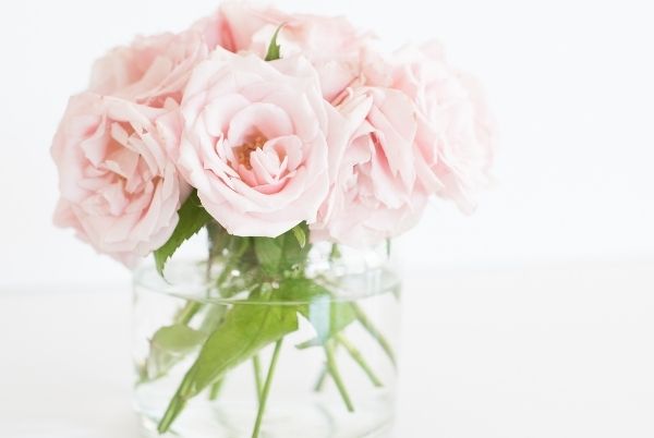 fleurs dans un vase