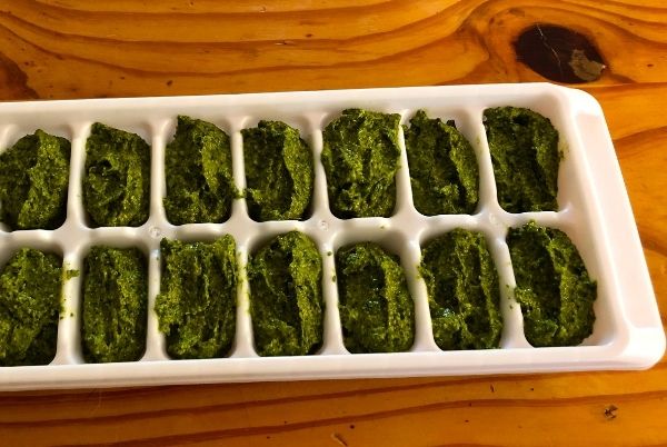 pesto
