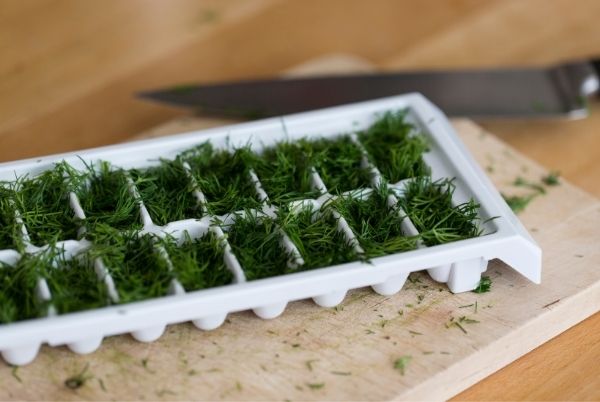 Des cubes d'herbes aromatiques